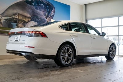 2025 Honda Accord Hybrid EX-L